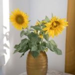 种子搜索神器的最新版:探索更快更全的资源获取方式 2j13cuan2