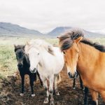 畅享4K高清影视盛宴,尽情体验视觉新高度 34ls28aj