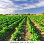 男女做事网站acg:探索二次元世界中的互动与创作乐趣 3kxe1yg