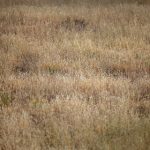 男同网站:探索多元文化与情感交流的安全平台 6p8jnmv8