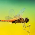 男生女生打扑克红杏:一场青春的游戏与友情的碰撞 8mf0g