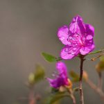 畅享51漫画官网在线,尽情探索精彩漫画世界 91wf6i