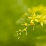 秀人集官网客服:为您提供全方位的在线服务支持 ao6m3h