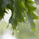 秘密入口导航最新地址:探索最新安全通道,畅享无忧上网体验 k6l7y78v