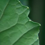 画江湖之不良人真人版:江湖纷争与侠义情仇的传奇故事 m8o41fvje