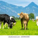 男女做事网站推荐:适合情侣和朋友的高效合作平台分享 s0t1k