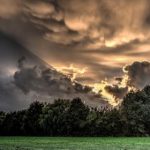 男生女生打扑克,红杏树下的青春故事 yw7h1s